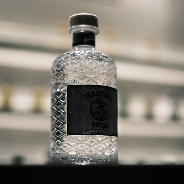 TRADMAN&rsquo;S BONSAI -松葉ジン- 詳細画像